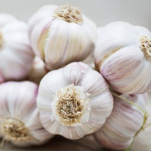 A Science-Backed Trick To Get Rid Of Garlic Breath Fast - ZergNet