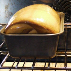 The Simple Trick to Avoid Cleaning Your Oven - ZergNet