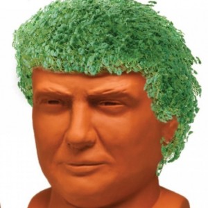 11 'As Seen On TV' Items That Were Completely Useless - ZergNet