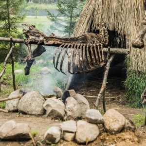 age of tribes age of tribes