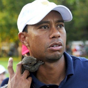 10 Best Animal Encounters On The PGA Tour - ZergNet
