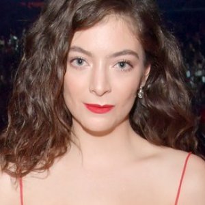 The Not-So-Hidden Message in Lorde's Grammys Dress - ZergNet