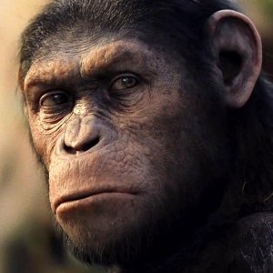 The Untold Truth of 'Planet of the Apes' - ZergNet