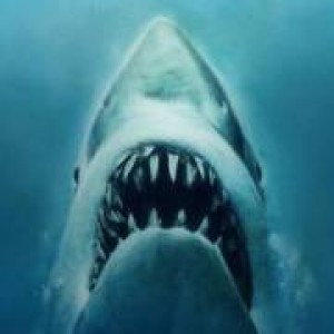 The Best Shark Movies Of All Time - ZergNet