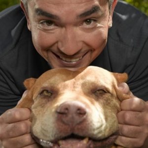 letting your dog sleep in your bed cesar millan