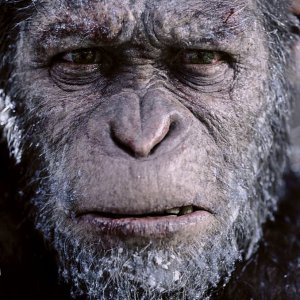 The Untold Truth of 'Planet of the Apes' - ZergNet