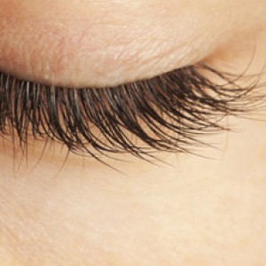 How To Grow Bold Beautiful Brows Zergnet