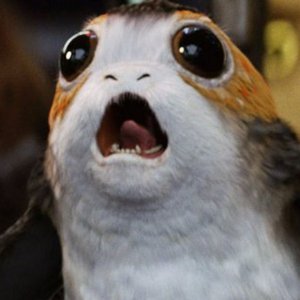 porgs for sale