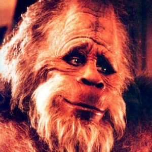 The 'Harry and the Hendersons' Cast Then & Now - ZergNet