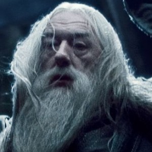 All 76 Deaths In 'Harry Potter' Ranked By Sadness - ZergNet