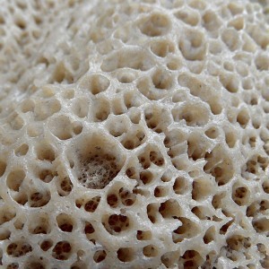 12 Photos That Will Horrify People With Trypophobia - ZergNet