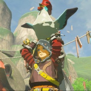 Urges You Can't Resist Satisfying In Zelda Games