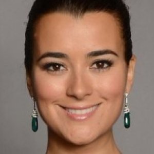 Disturbing Things The NCIS Cast Never Wanted Leaked - ZergNet