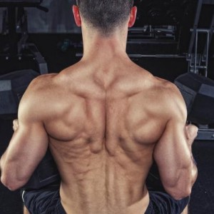 The No-Press Workout To Bigger Shoulders - ZergNet