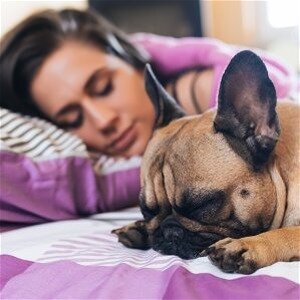 The Dangerous Reason Why Your Pets Shouldn't Sleep In Your Bed - ZergNet