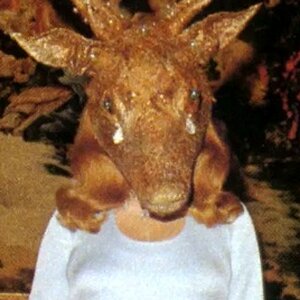 Billionaires Don't Want You To Know About These Secret Parties - ZergNet