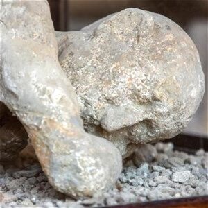 The Pompeii Disaster Was More Devastating Than We Thought - ZergNet